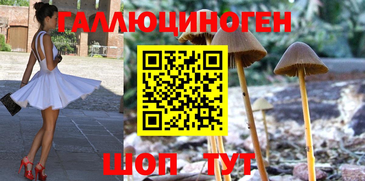 Псилоцибиновые грибы прущие грибы Феодосия