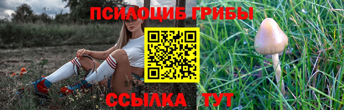Галлюциногенные грибы Psilocybine cubensis  Псилоцибиновые грибы GOLDEN TEACHER  Феодосия  Вход с VPN 